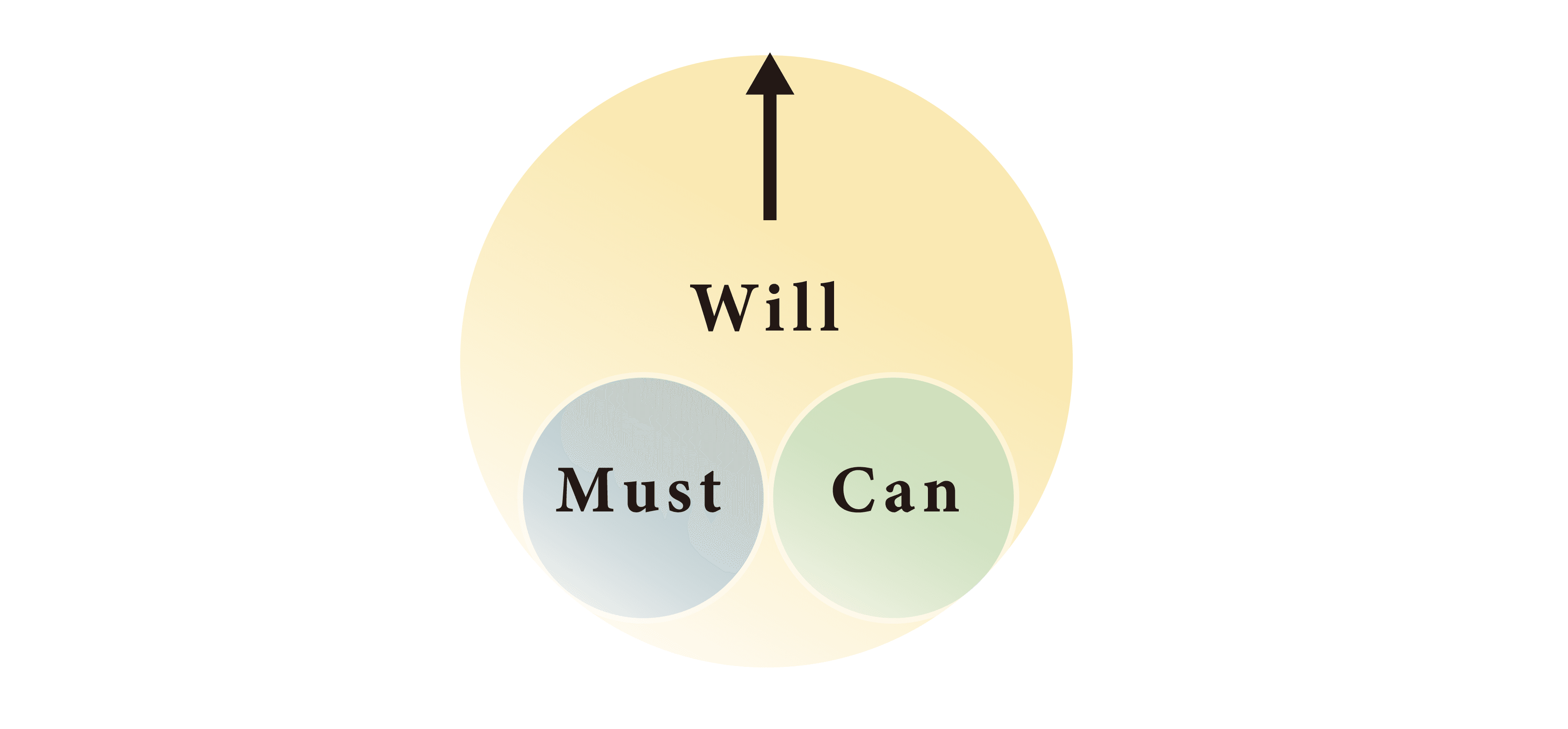 Will,Can,Must6